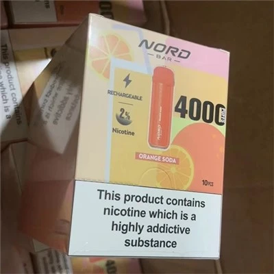 Jednorazová podložka Smok Nord Bar