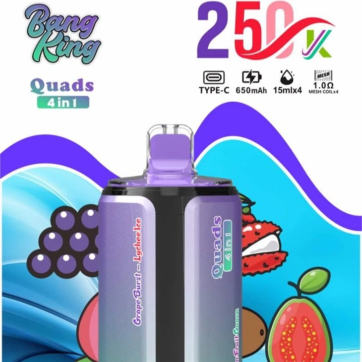 BANG KING Quads 250K factory