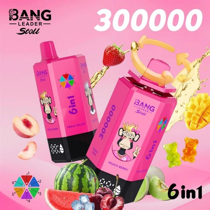 bang leader 300000 9 bang leader 300000 9