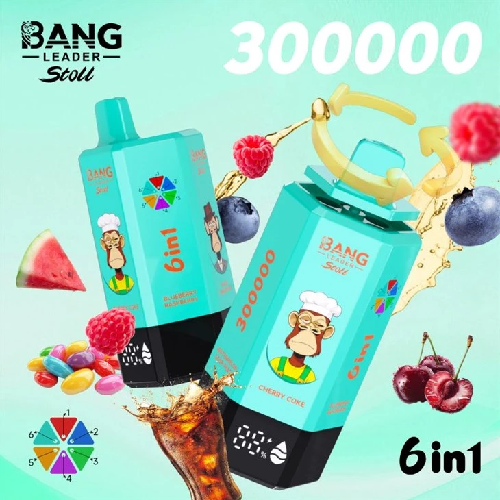 BANG LEADER Stoll 300K BANG LEADER Stoll 300K