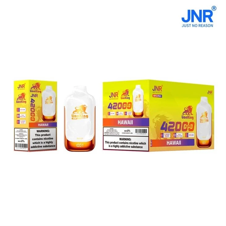 JNR LionKing 42000 26 JNR LionKing 42000 26