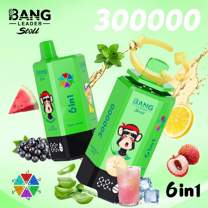 bang leader 300000 11