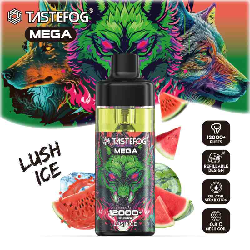 TASTEFOG MEGA 12000 23