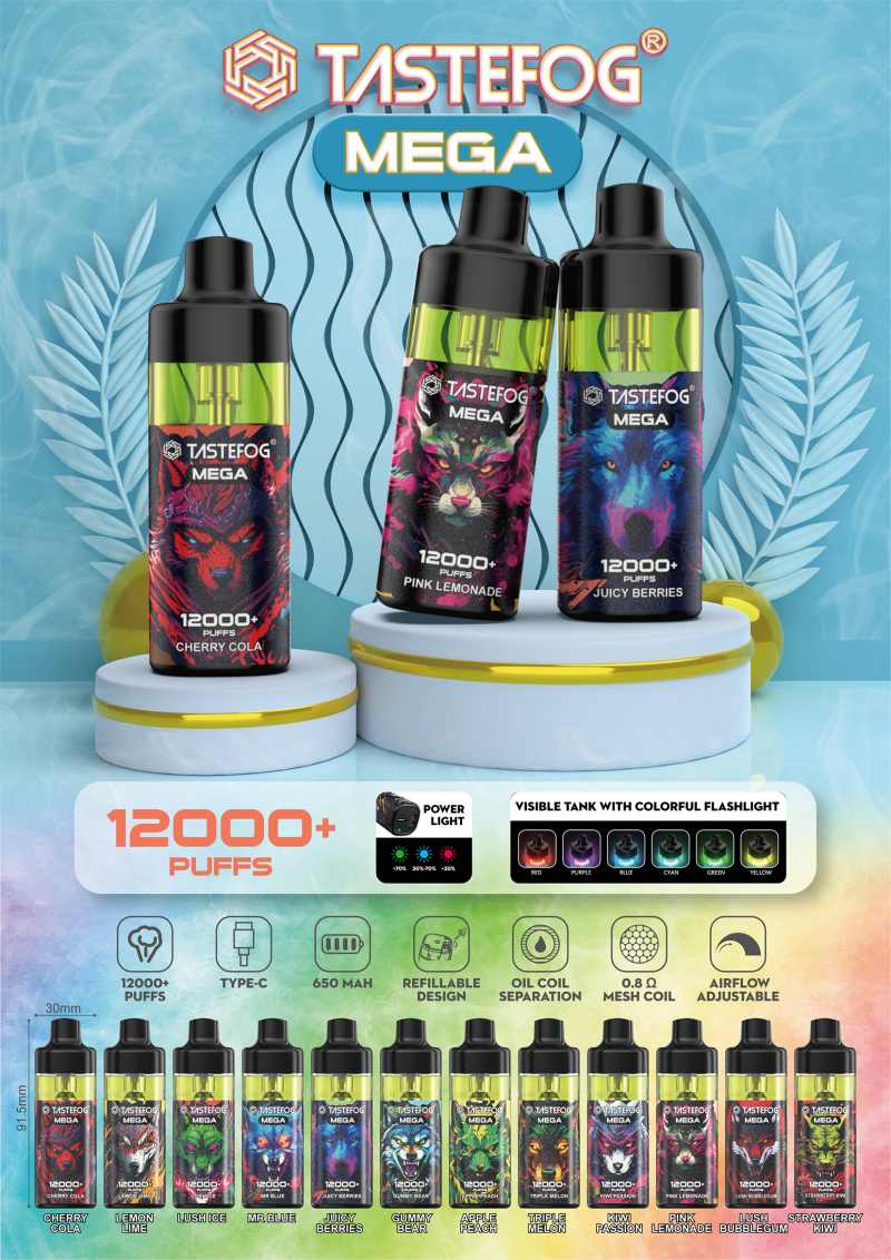 TASTEFOG MEGA 12000 111 TASTEFOG MEGA 12000 111