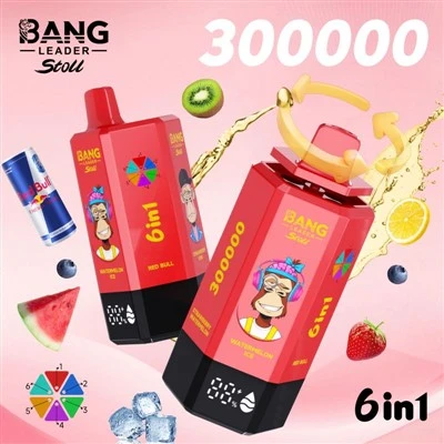 Bang Leader 300 000 Puffs Vape