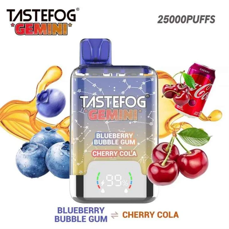 TASTEFOG GEMINI 25K TASTEFOG GEMINI 25K